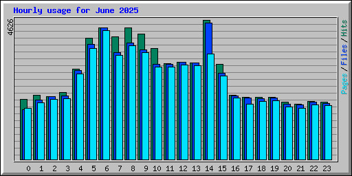 Hourly usage for June 2025