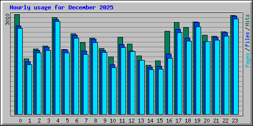 Hourly usage for December 2025